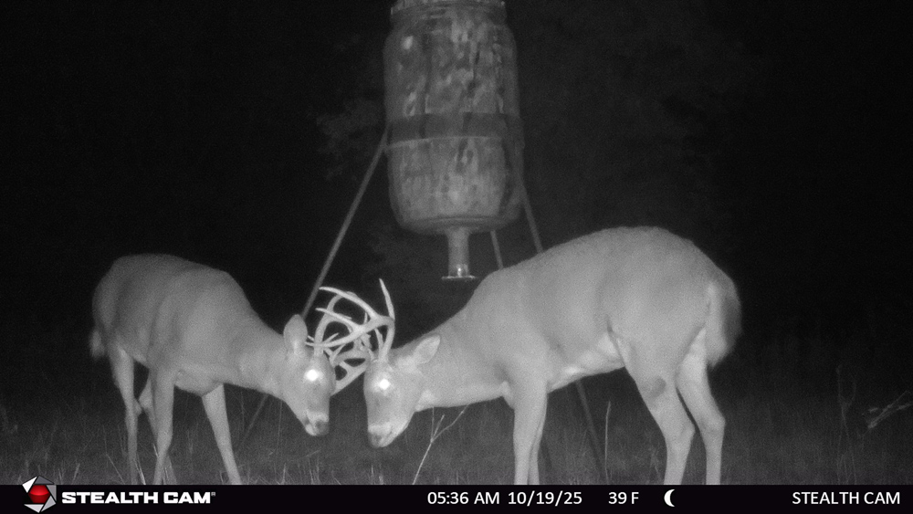 Stunning Hunting Acreage with Rustic Limestone Home