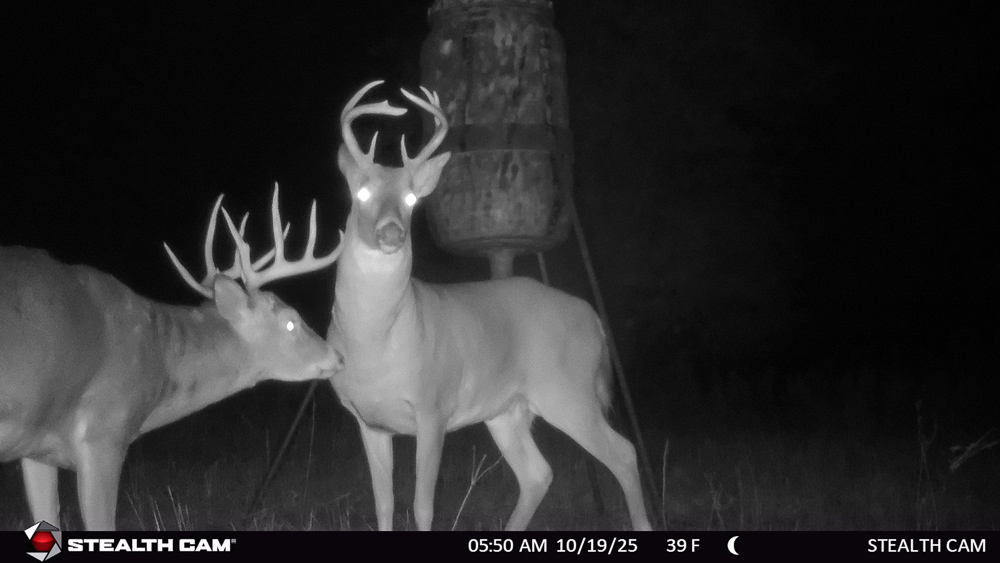 Stunning Hunting Acreage with Rustic Limestone Home