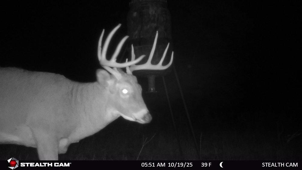 Stunning Hunting Acreage with Rustic Limestone Home