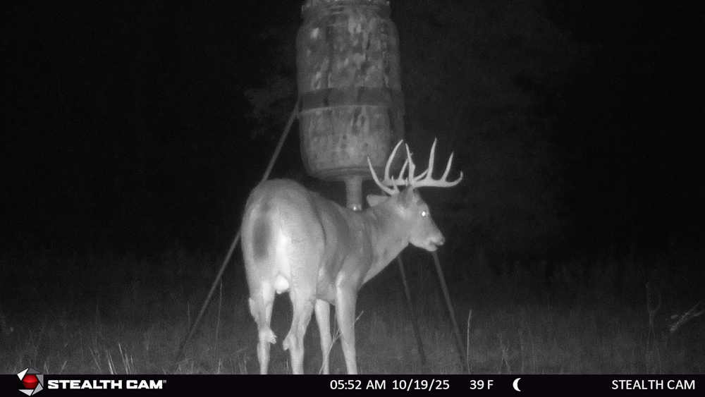 Stunning Hunting Acreage with Rustic Limestone Home