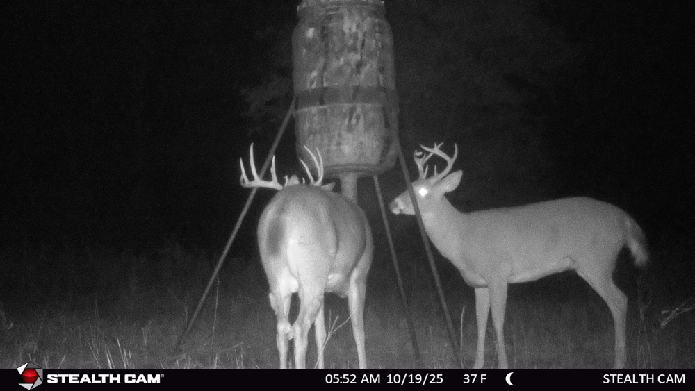 Stunning Hunting Acreage with Rustic Limestone Home