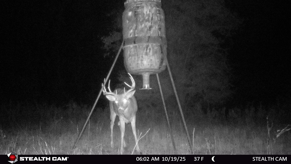 Stunning Hunting Acreage with Rustic Limestone Home