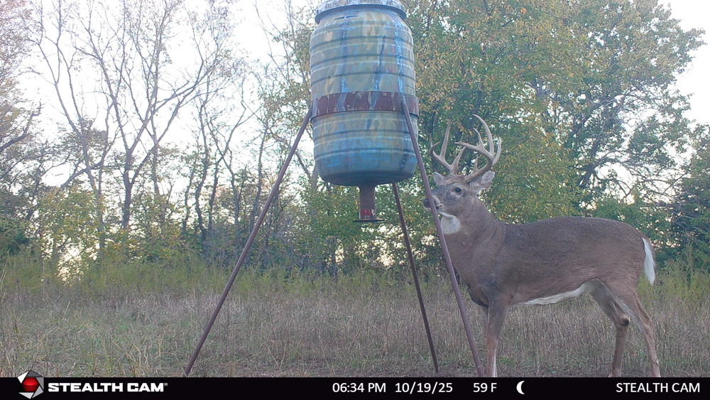 Stunning Hunting Acreage with Rustic Limestone Home