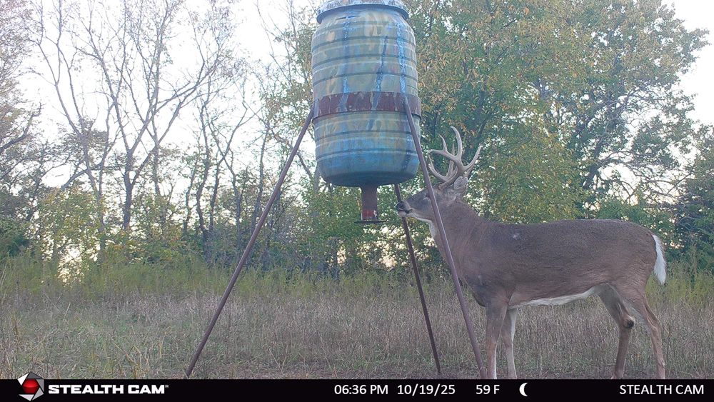 Stunning Hunting Acreage with Rustic Limestone Home
