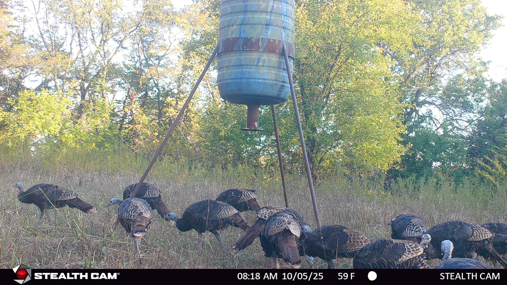 Stunning Hunting Acreage with Rustic Limestone Home