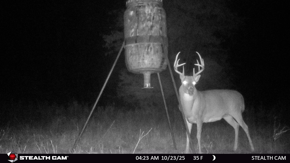 Stunning Hunting Acreage with Rustic Limestone Home