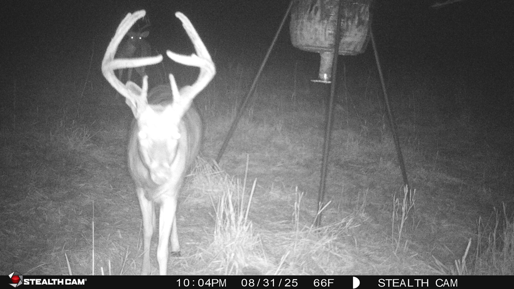 Stunning Hunting Acreage with Rustic Limestone Home