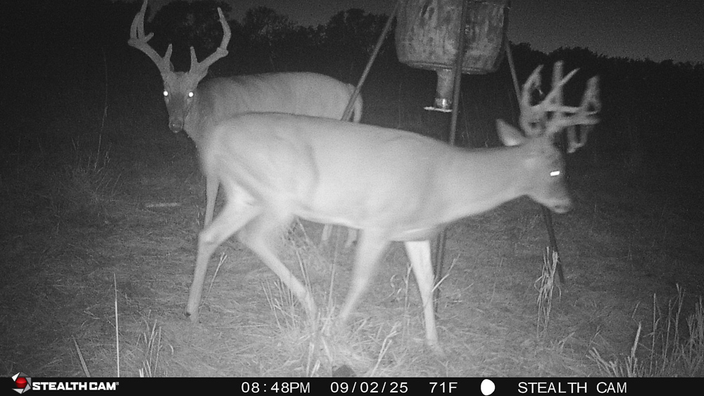 Stunning Hunting Acreage with Rustic Limestone Home