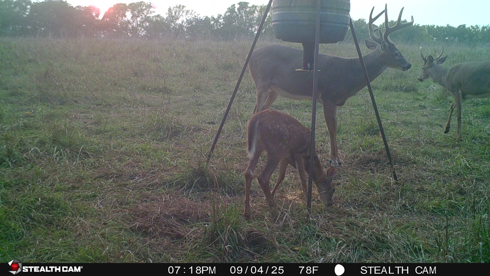 Stunning Hunting Acreage with Rustic Limestone Home