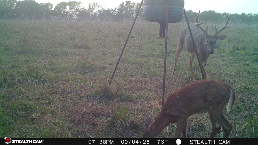 Stunning Hunting Acreage with Rustic Limestone Home