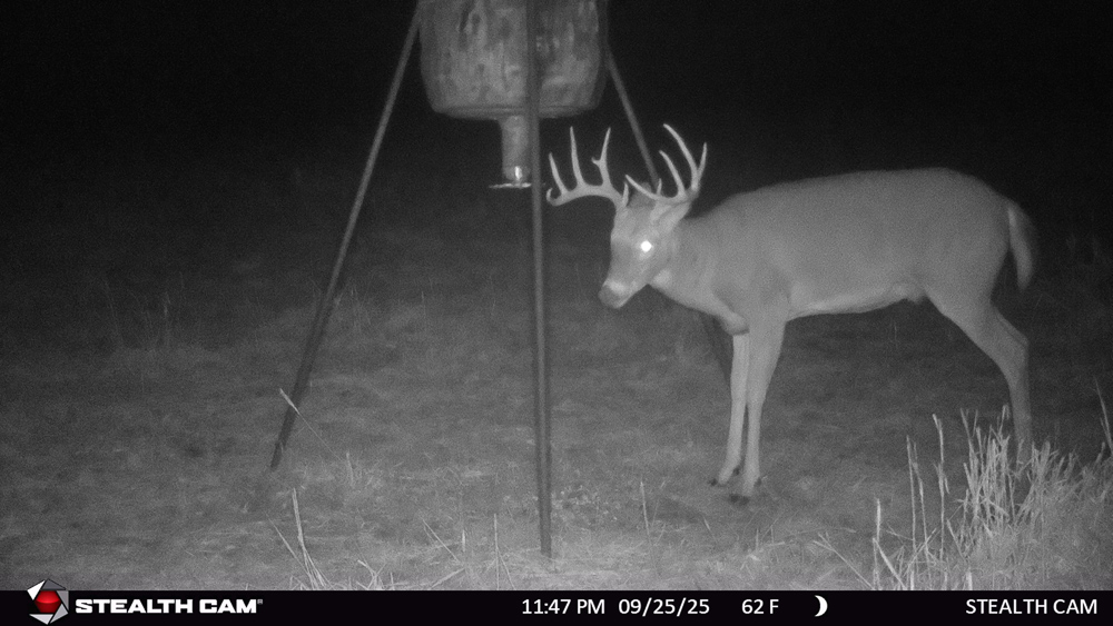 Stunning Hunting Acreage with Rustic Limestone Home
