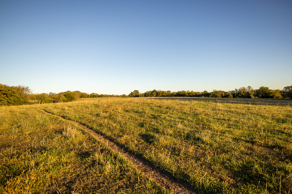 Stunning Hunting Acreage with Rustic Limestone Home