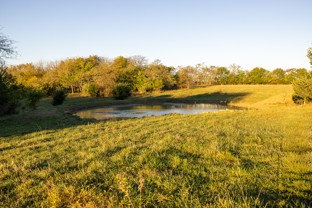 Stunning Hunting Acreage with Rustic Limestone Home