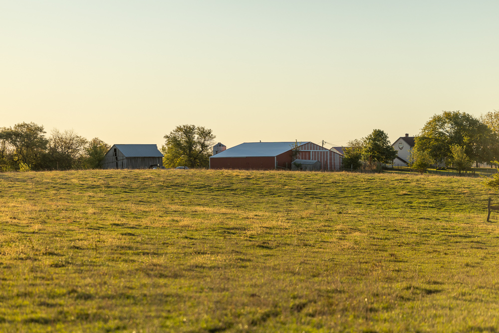 Stunning Hunting Acreage with Rustic Limestone Home