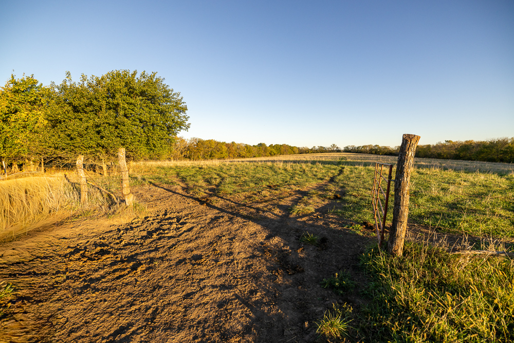 Stunning Hunting Acreage with Rustic Limestone Home