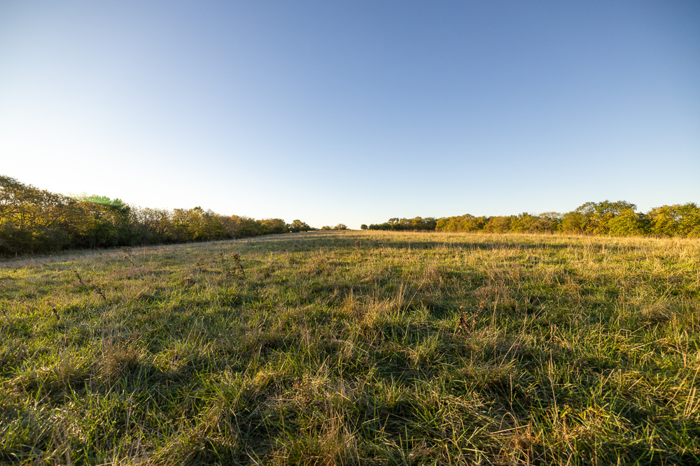 Stunning Hunting Acreage with Rustic Limestone Home