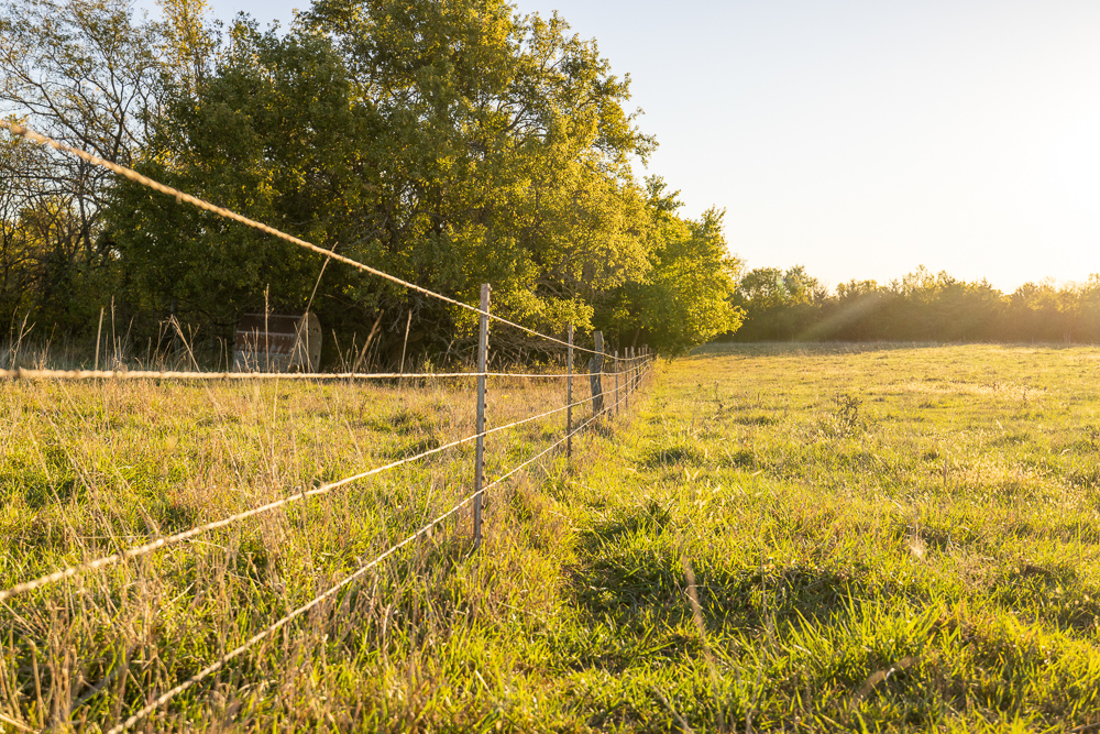 Stunning Hunting Acreage with Rustic Limestone Home