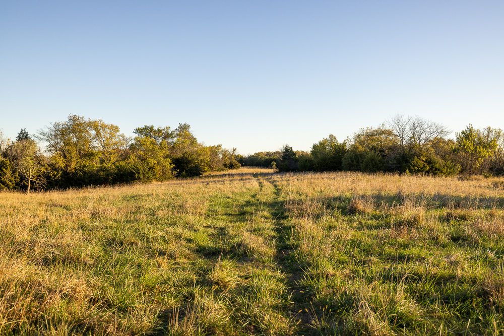 Stunning Hunting Acreage with Rustic Limestone Home