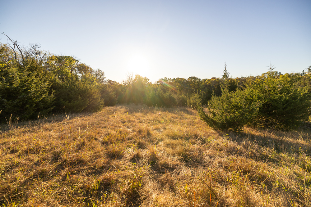 Stunning Hunting Acreage with Rustic Limestone Home