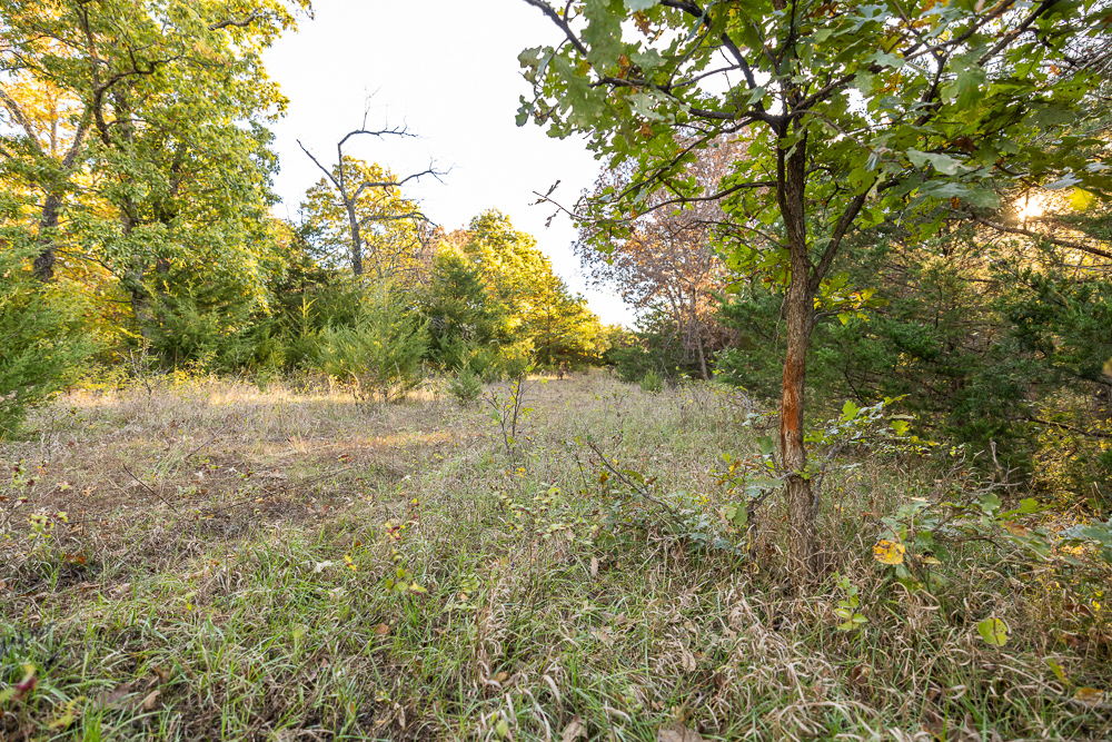 Stunning Hunting Acreage with Rustic Limestone Home