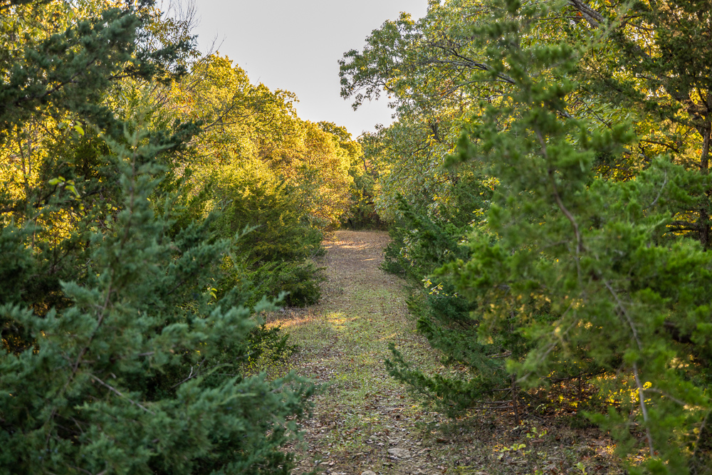 Stunning Hunting Acreage with Rustic Limestone Home