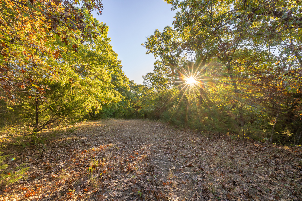Stunning Hunting Acreage with Rustic Limestone Home