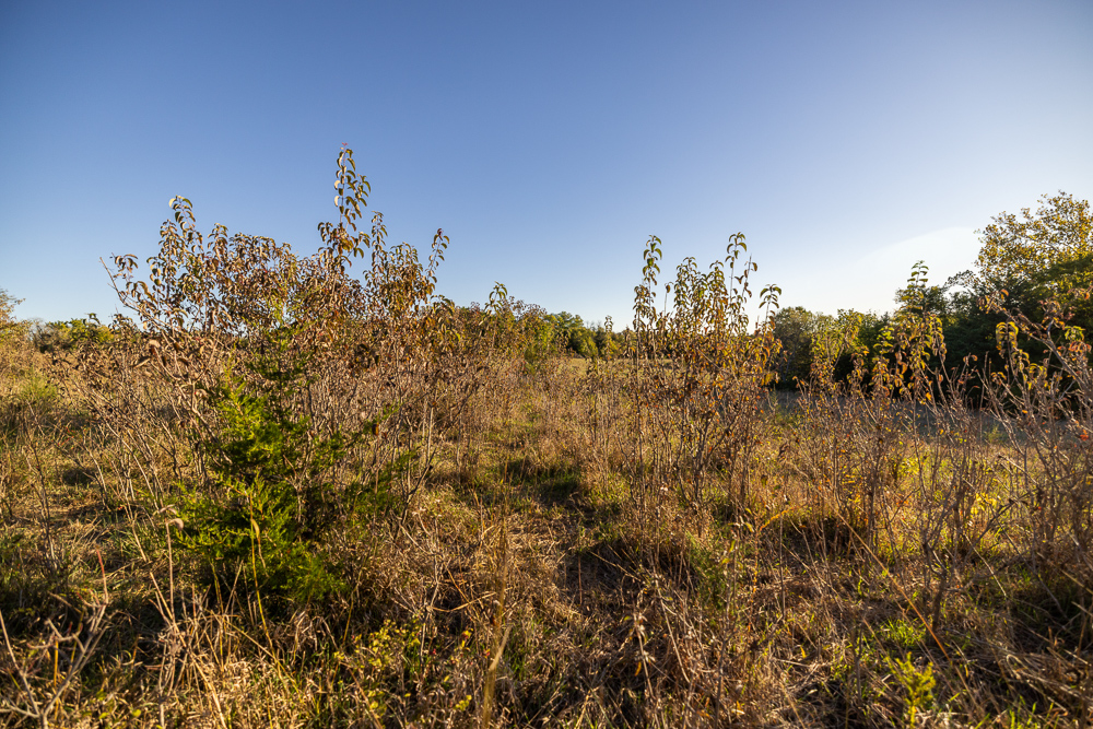 Stunning Hunting Acreage with Rustic Limestone Home