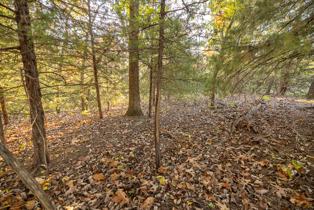 Stunning Hunting Acreage with Rustic Limestone Home