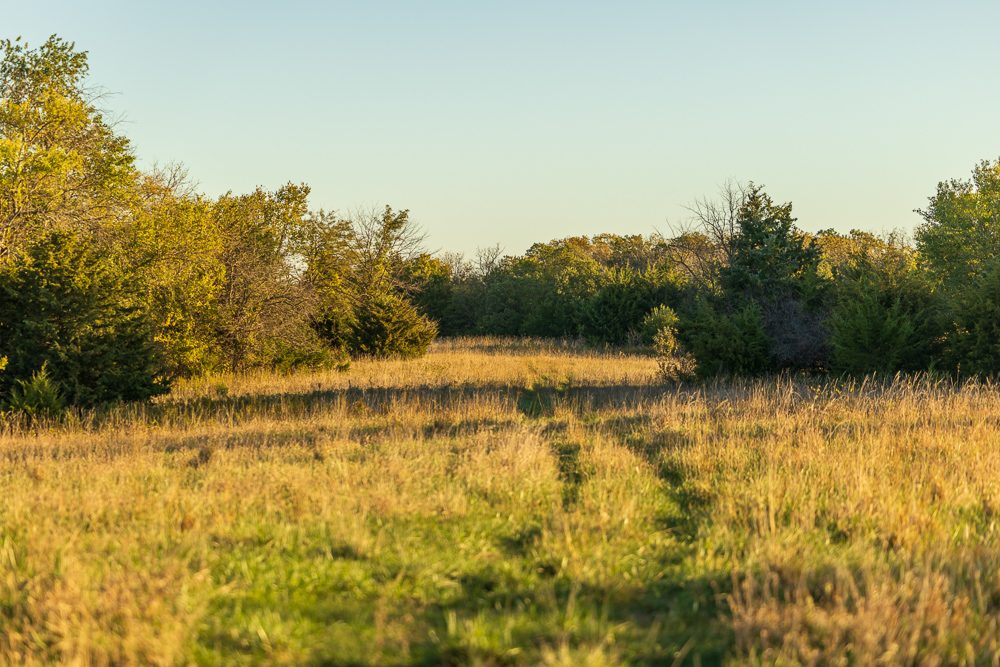 Stunning Hunting Acreage with Rustic Limestone Home