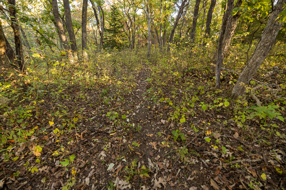 Stunning Hunting Acreage with Rustic Limestone Home