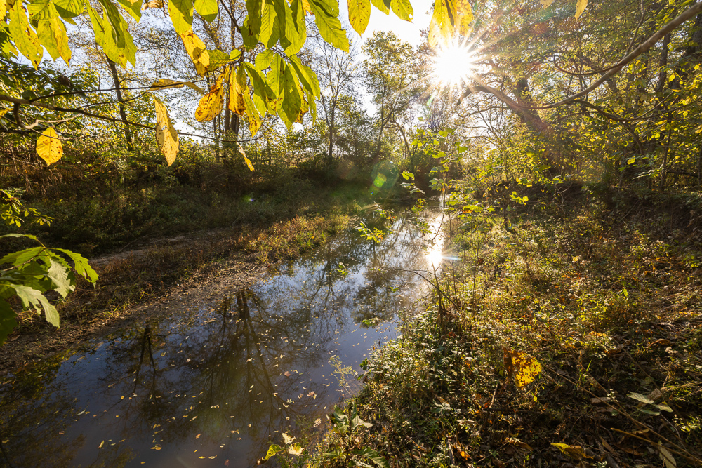 Stunning Hunting Acreage with Rustic Limestone Home