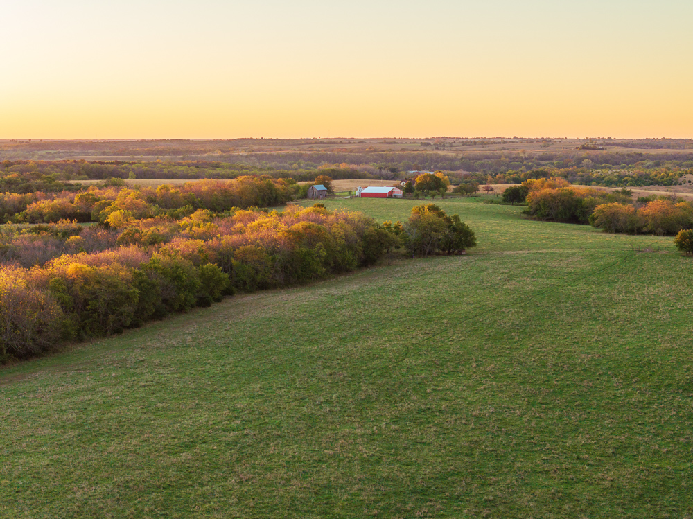 Stunning Hunting Acreage with Rustic Limestone Home