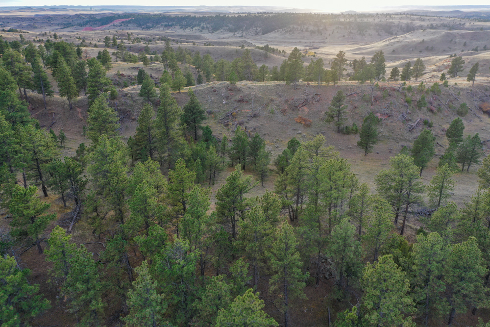 Pine Valley Build Site - Broad Axe Tract A5