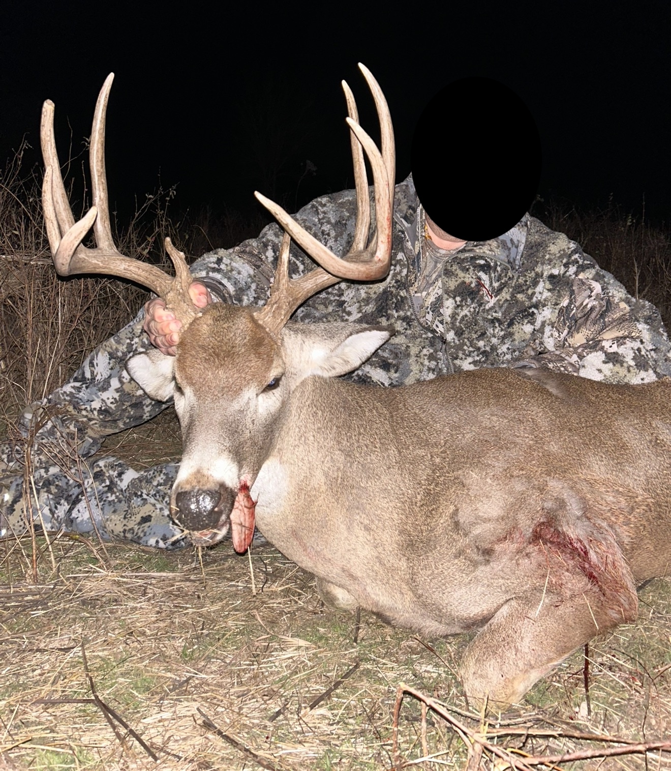 Big Bucks, Big Timber, and Big Income