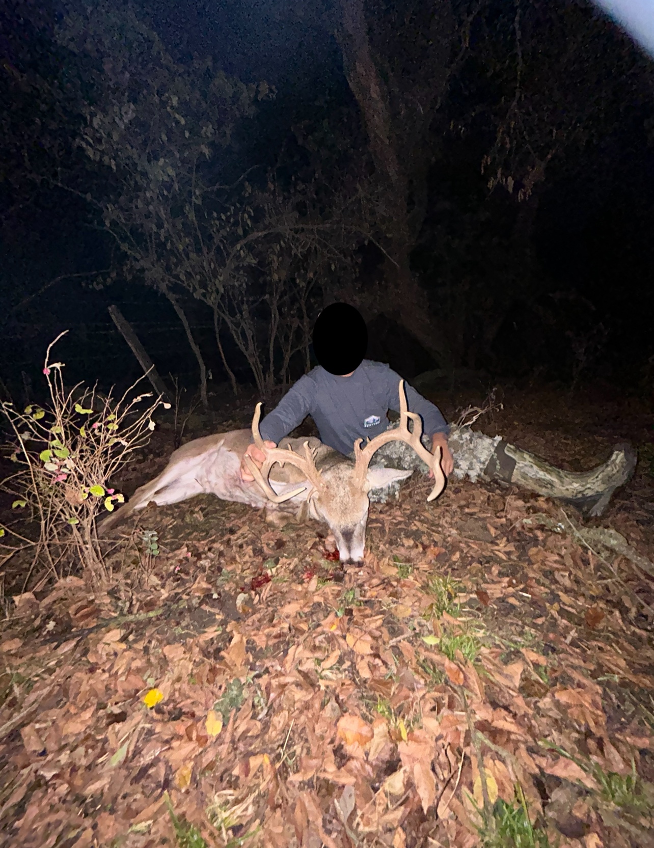 Big Bucks, Big Timber, and Big Income