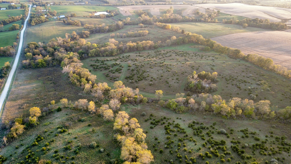38.5 Acre Build, Farm, or Relax with the Wildlife
