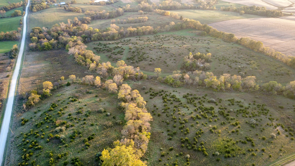 38.5 Acre Build, Farm, or Relax with the Wildlife