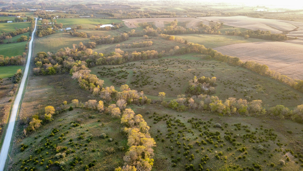 38.5 Acre Build, Farm, or Relax with the Wildlife