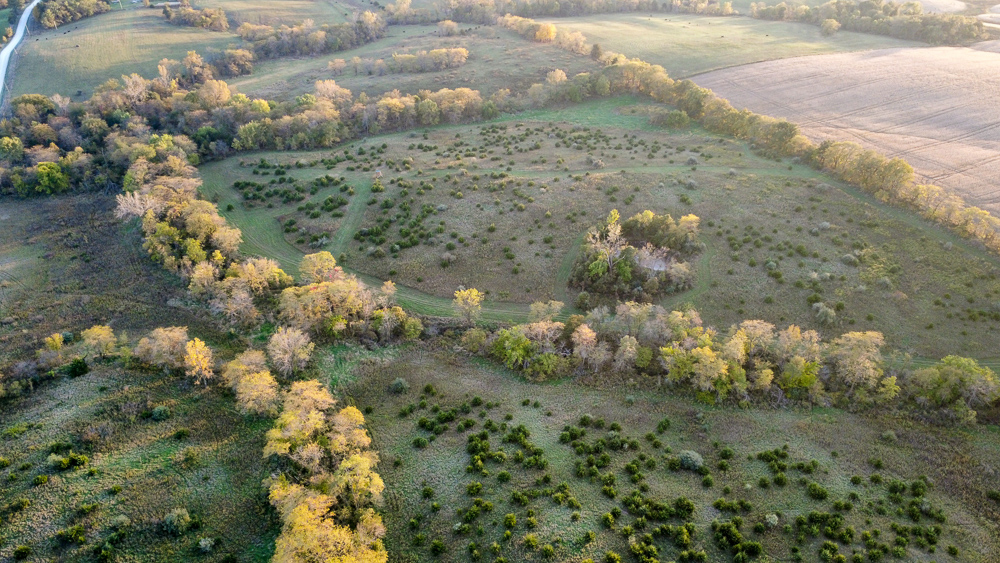 38.5 Acre Build, Farm, or Relax with the Wildlife
