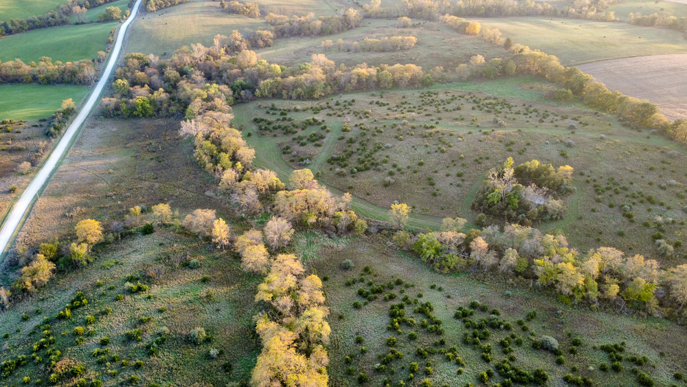 38.5 Acre Build, Farm, or Relax with the Wildlife
