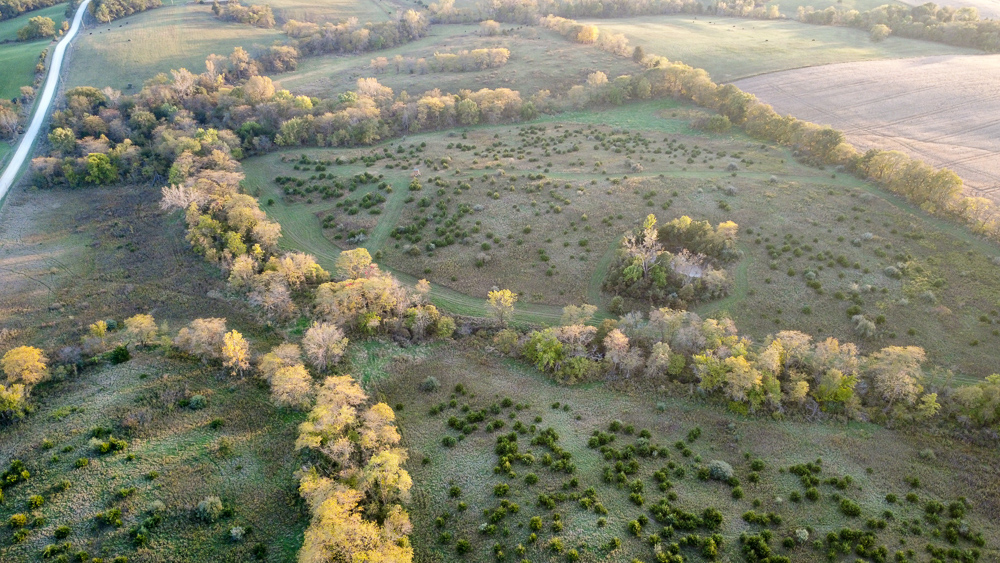 38.5 Acre Build, Farm, or Relax with the Wildlife