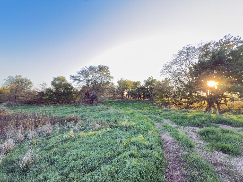 38.5 Acre Build, Farm, or Relax with the Wildlife