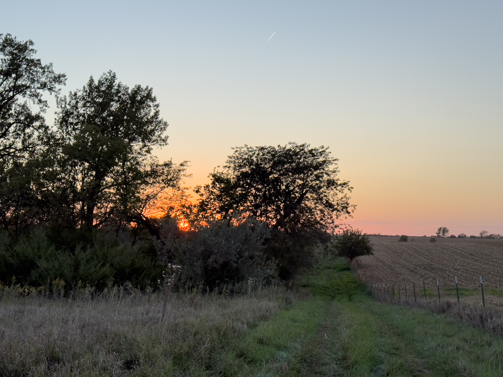 38.5 Acre Build, Farm, or Relax with the Wildlife
