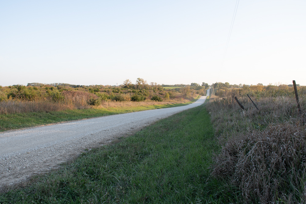 38.5 Acre Build, Farm, or Relax with the Wildlife