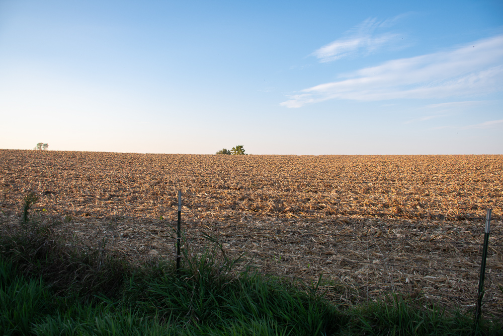 38.5 Acre Build, Farm, or Relax with the Wildlife