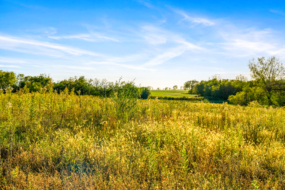 267 +/- Acre Upland Tillable Farm