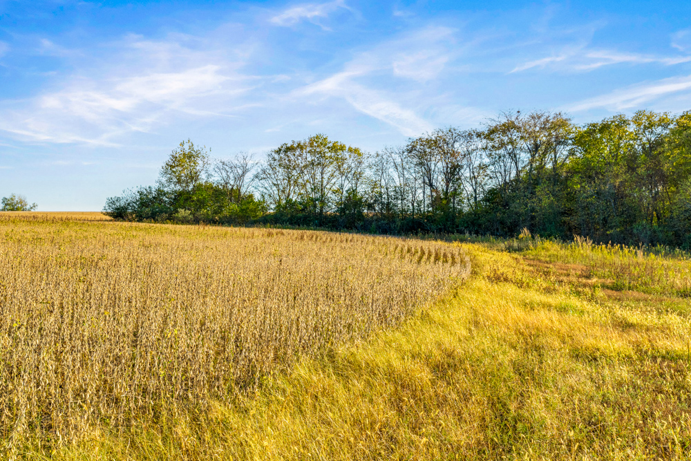 267 +/- Acre Upland Tillable Farm