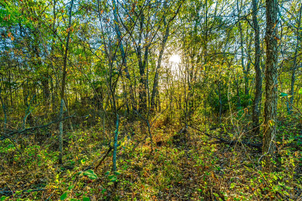 267 +/- Acre Upland Tillable Farm