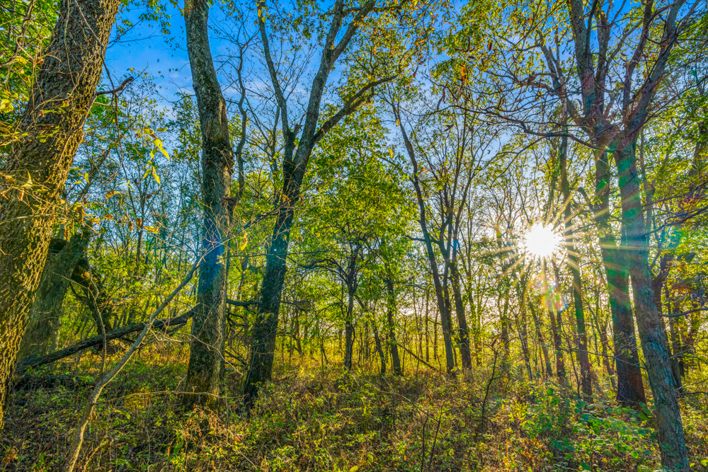 267 +/- Acre Upland Tillable Farm