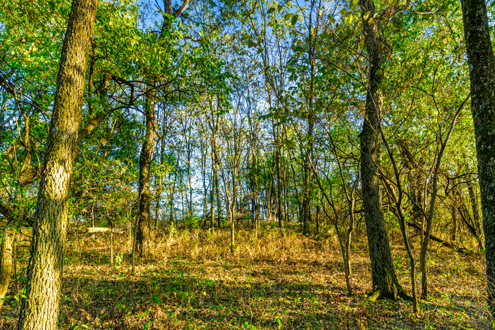 267 +/- Acre Upland Tillable Farm